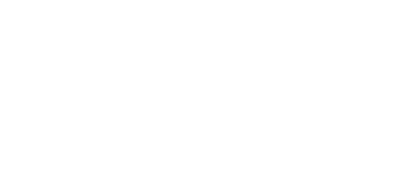 LEVY